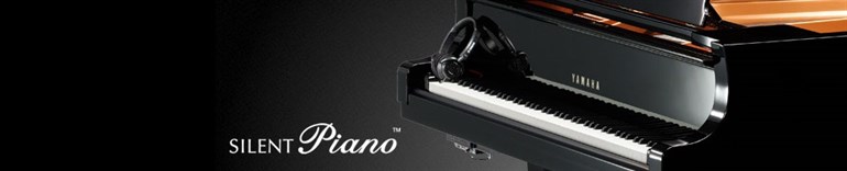 Silent Piano