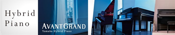 HYBRID PIANOS Avant Grand