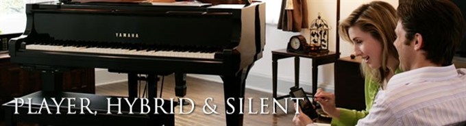 Player -Silent - Hybrid