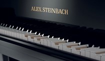 Alex Steinbach iQ Player