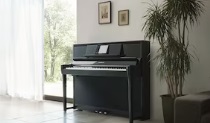 Yamaha CSP295