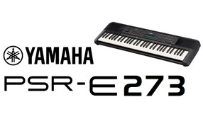 E-Series PSRE273