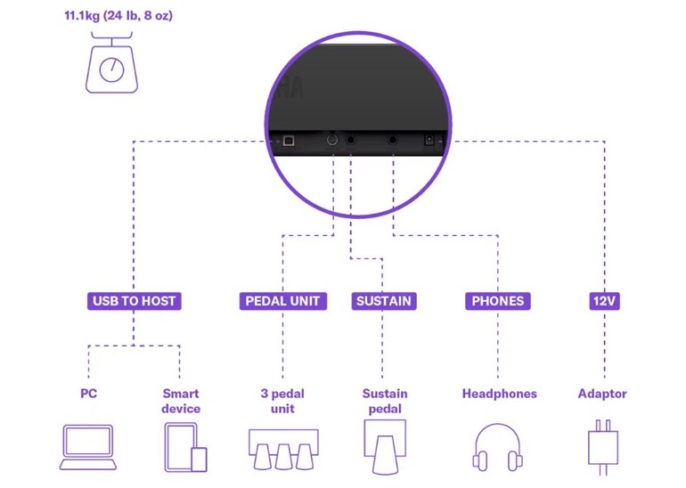 Dimension & Connectivity 2