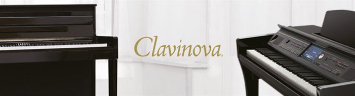 Clavinva Banner
