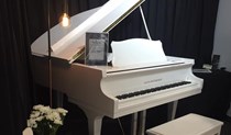 Alex Steinbach Grand Piano