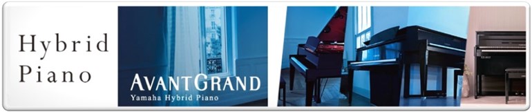 HYBRID PIANOS Avant Grand B
